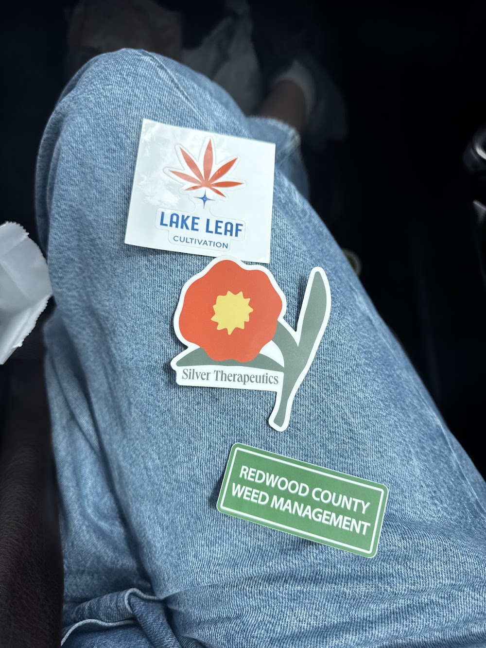 Silver Therapeutics Cannabis Company photo 6
