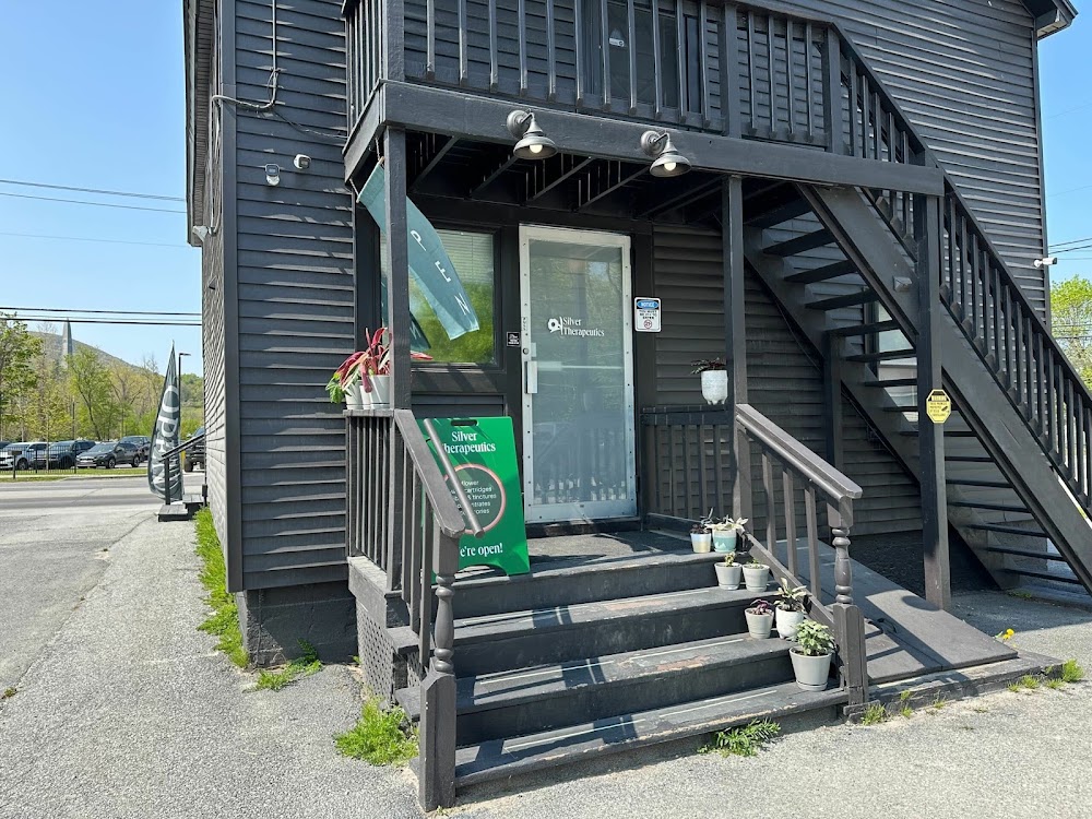Silver Therapeutics Of Bennington photo 3