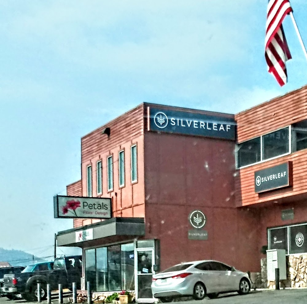 Silverleaf photo 2
