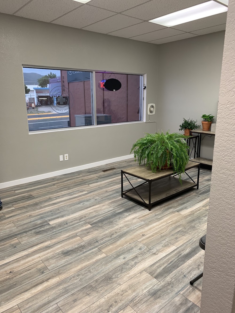 Silverleaf photo 5