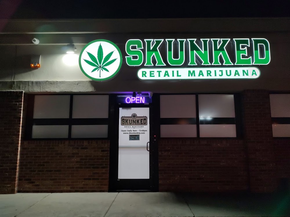 Skunked photo 7