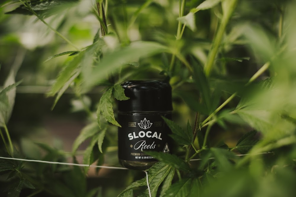 Slocal Roots photo 6