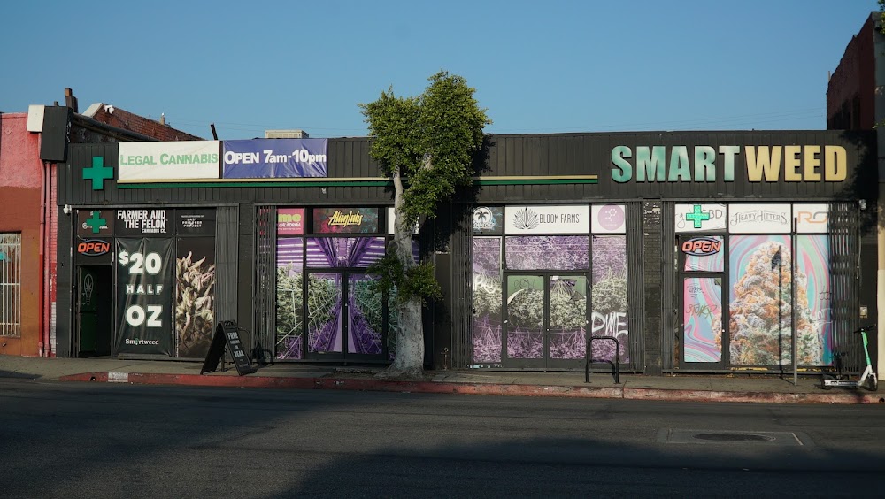 Smartweed photo 1