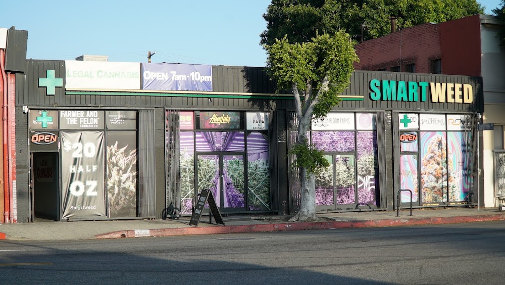 Smartweed photo 4