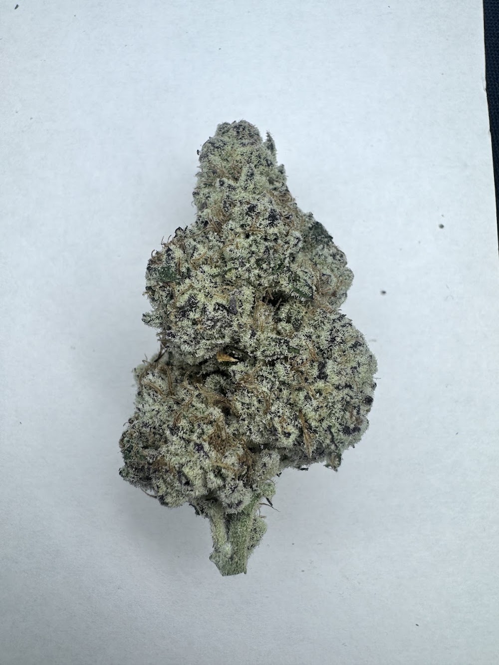 Snaxland Dispensary photo 5