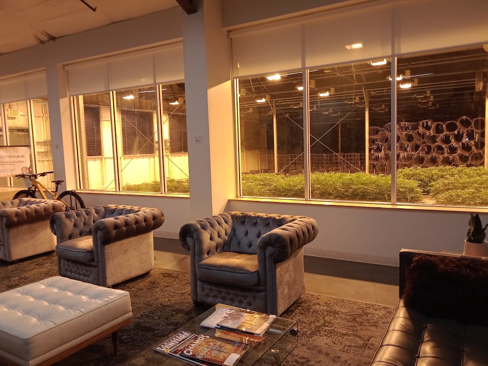 Sol Cannabis photo 3