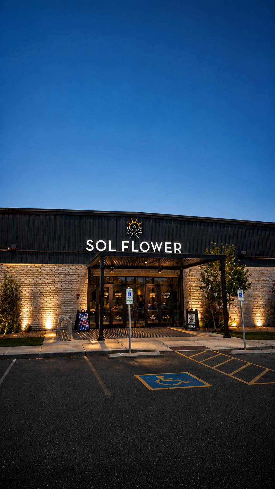 Sol Flower photo 1