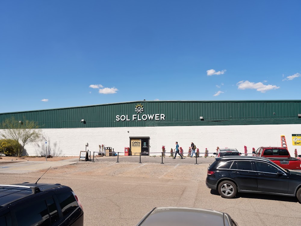 Sol Flower photo 7