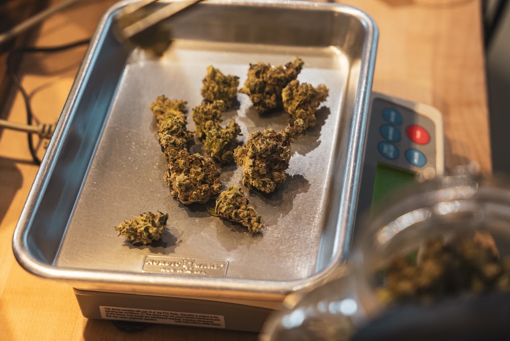 Solar Cannabis CO. photo 4