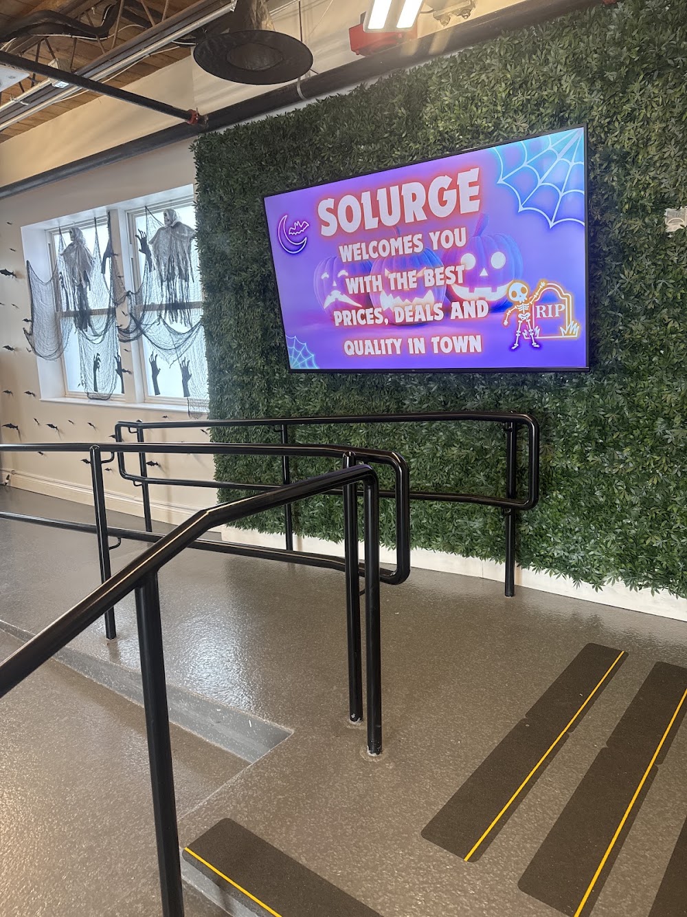 Solurge photo 8