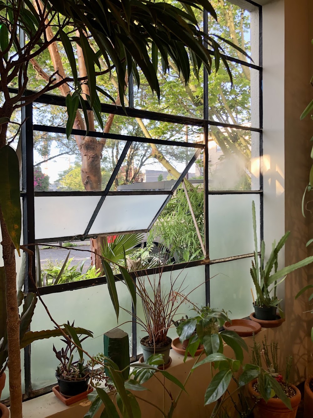 Somewhere photo 6
