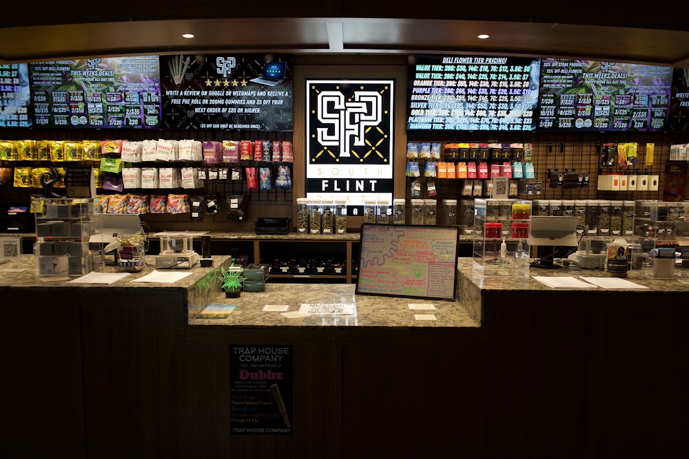 South Flint Plaza Dispo photo 8