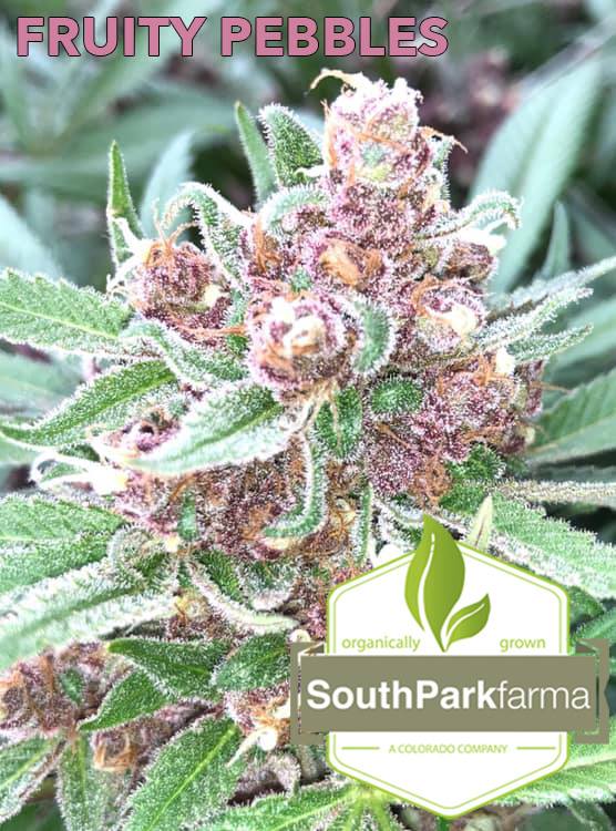 South Park Farma photo 7