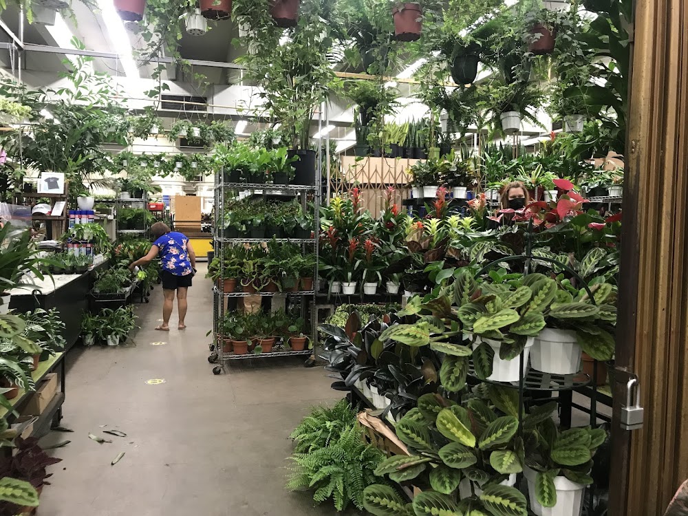 Southern California Flower Company photo 3