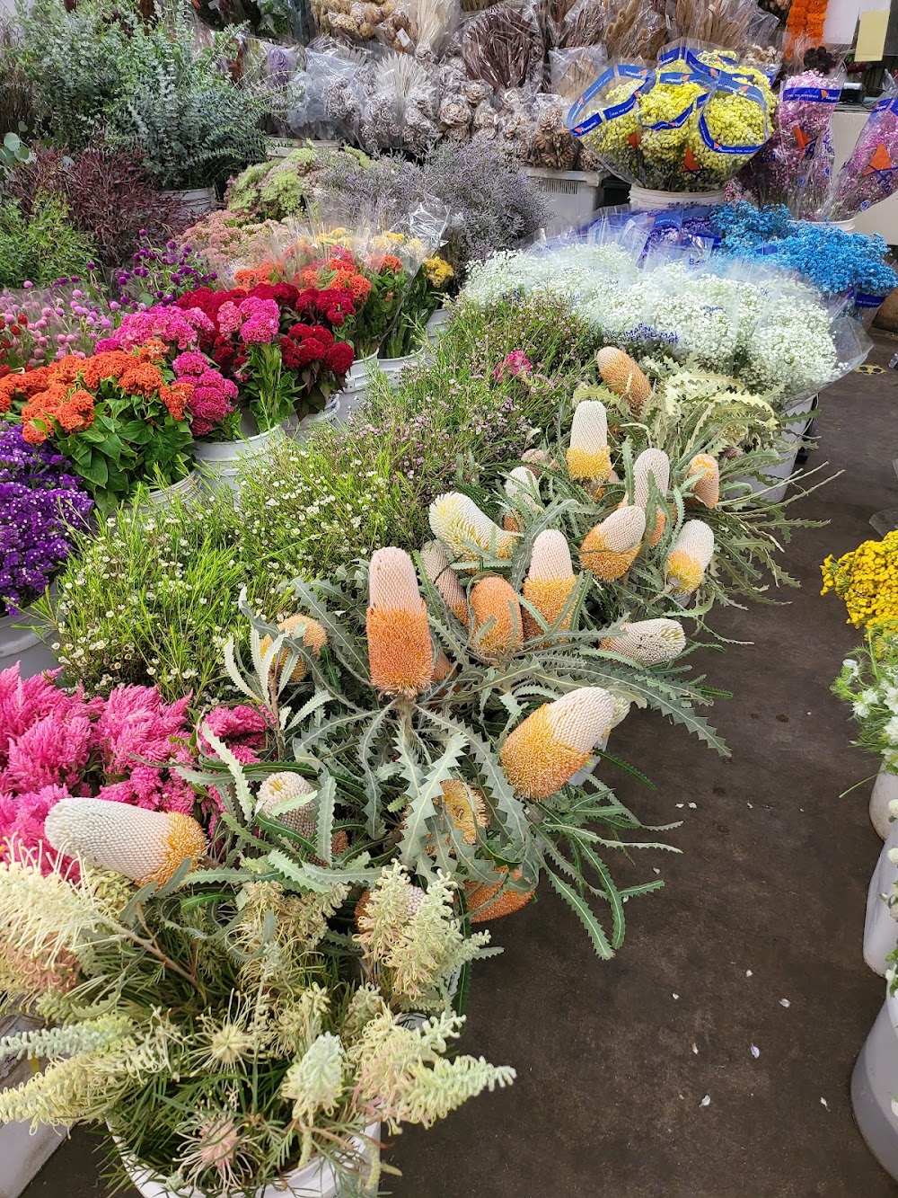 Southern California Flower Company photo 7