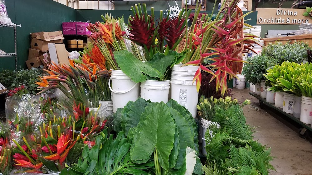 Southern California Flower Company photo 8
