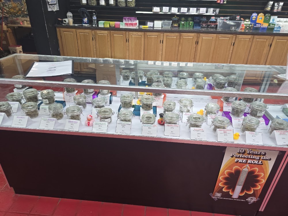 Southern Oregon Cannabis Connection photo 5