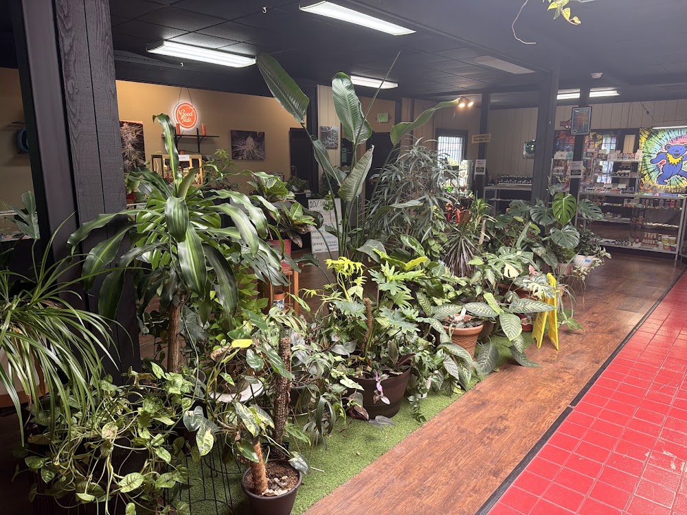 Southern Oregon Cannabis Connection photo 6