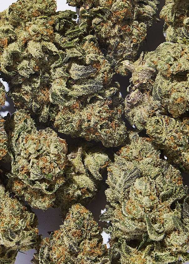 Southwest Cannabis - N Riverside photo 6