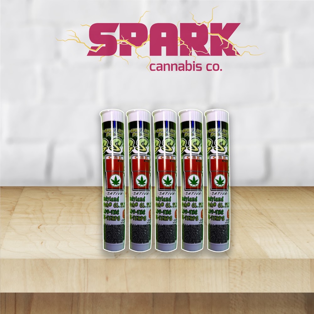Spark - Anadarko photo 6