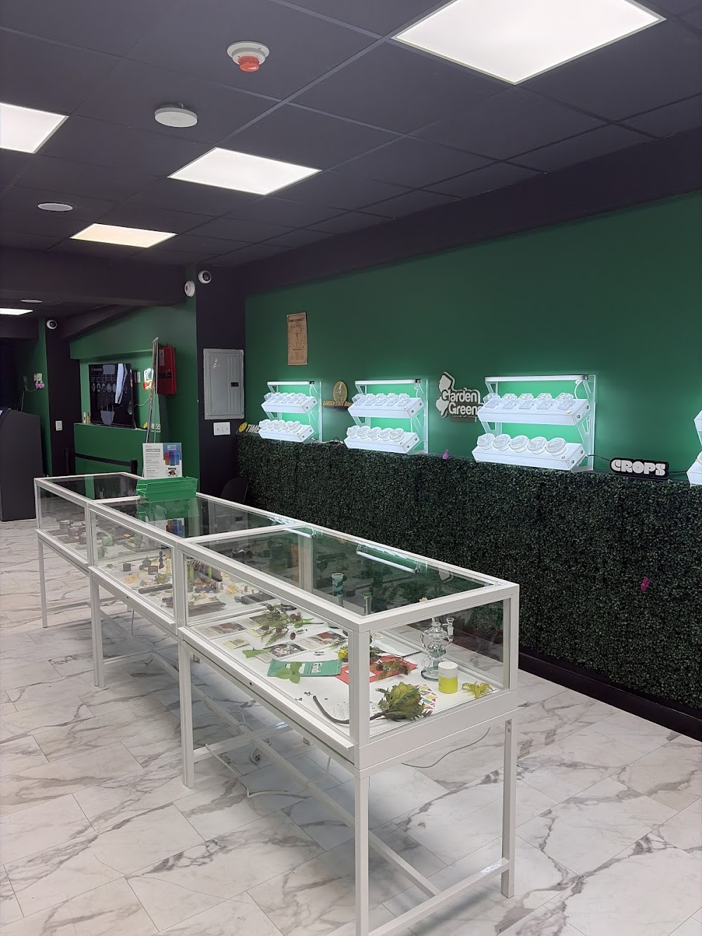 Springfield Ave Dispensary photo 2