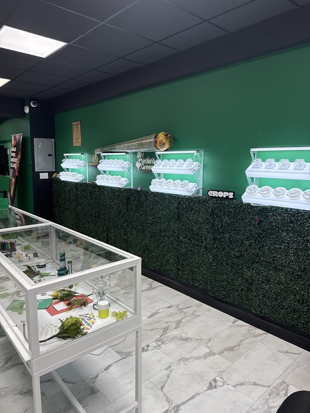 Springfield Ave Dispensary photo 8
