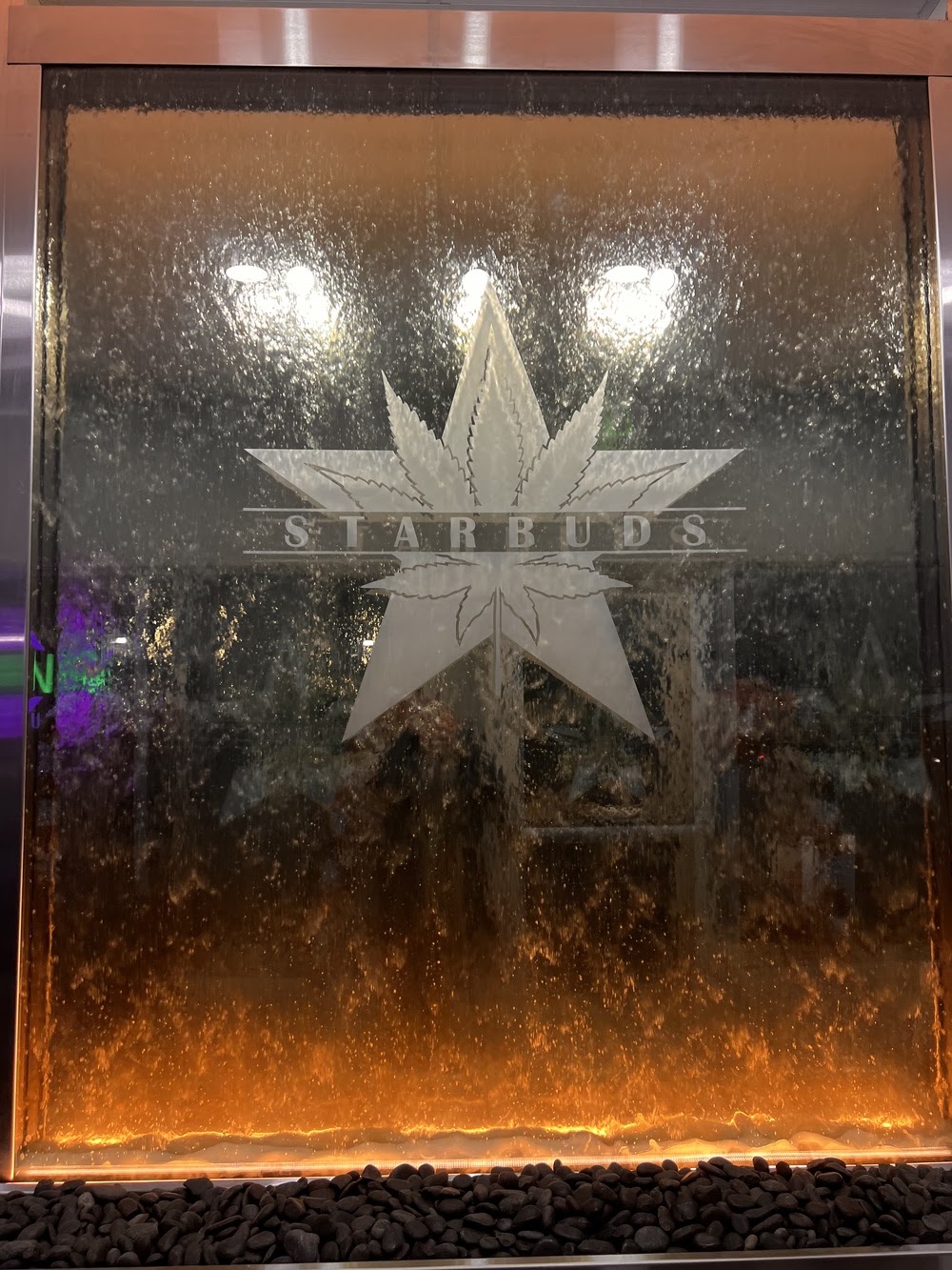 Star Buds photo 7
