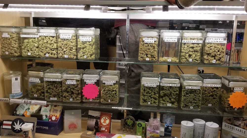 Star Buds photo 6