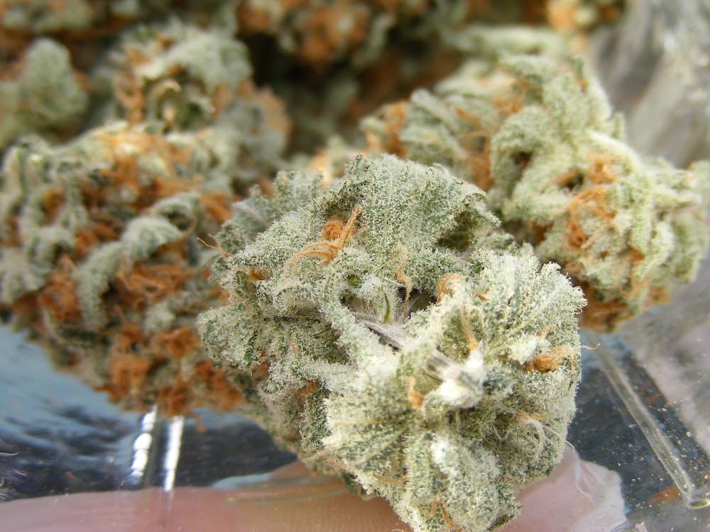 Stateline Cannabis photo 6