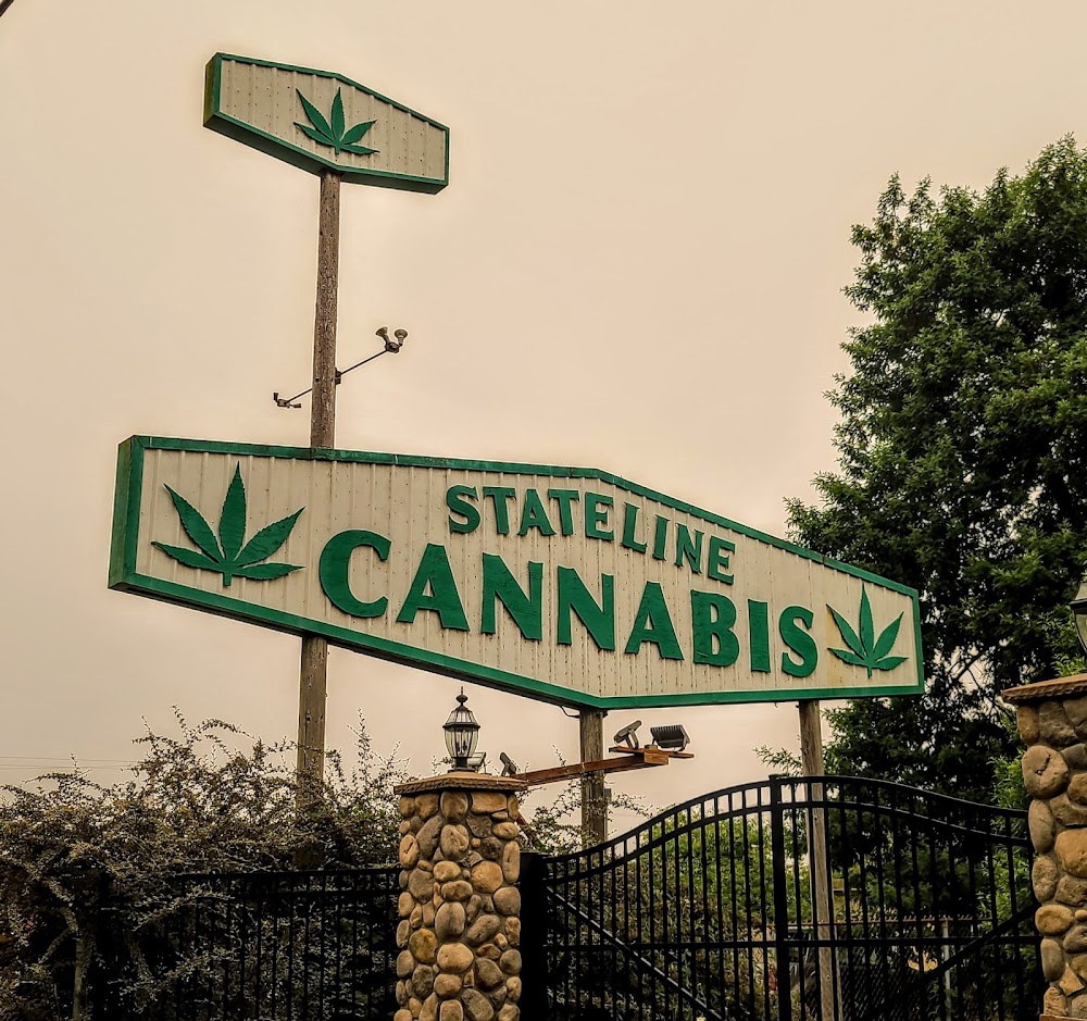 Stateline Cannabis photo 7