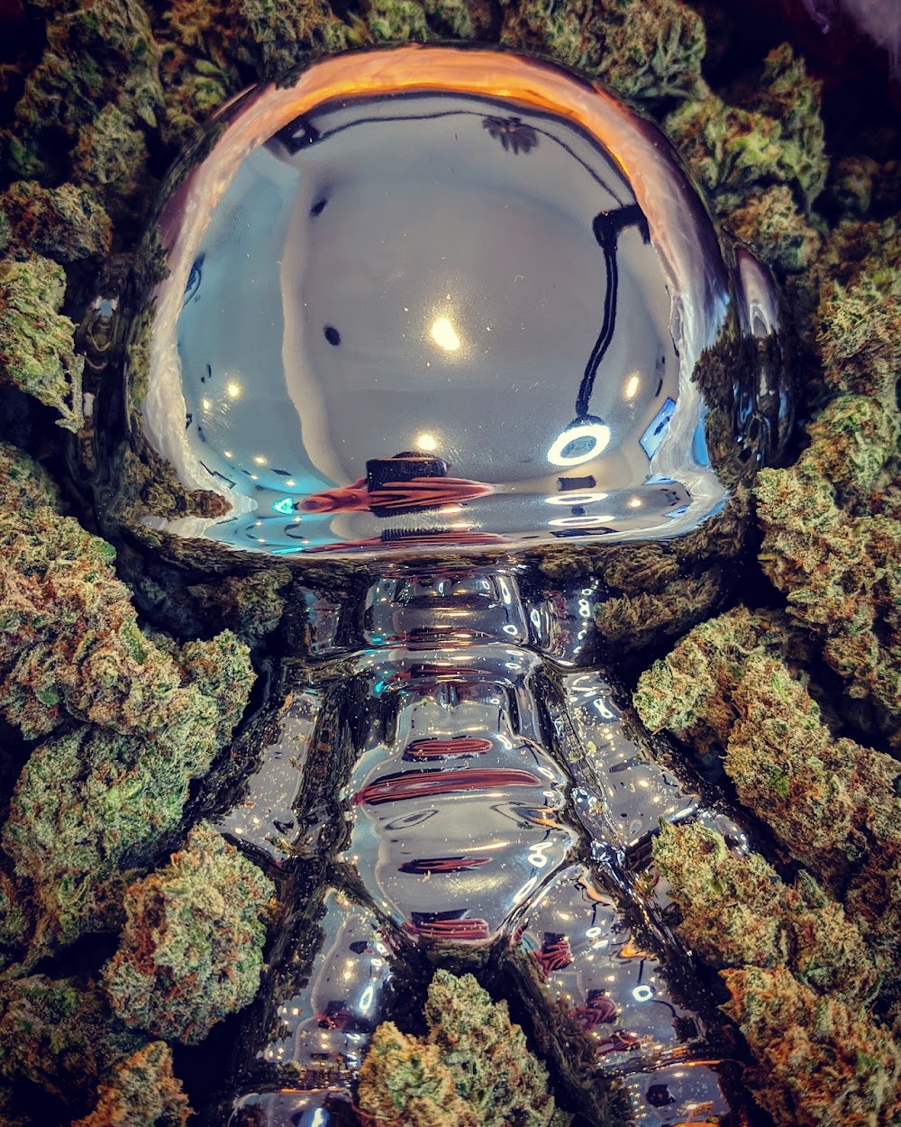 Stellar Cannabis CO. photo 3