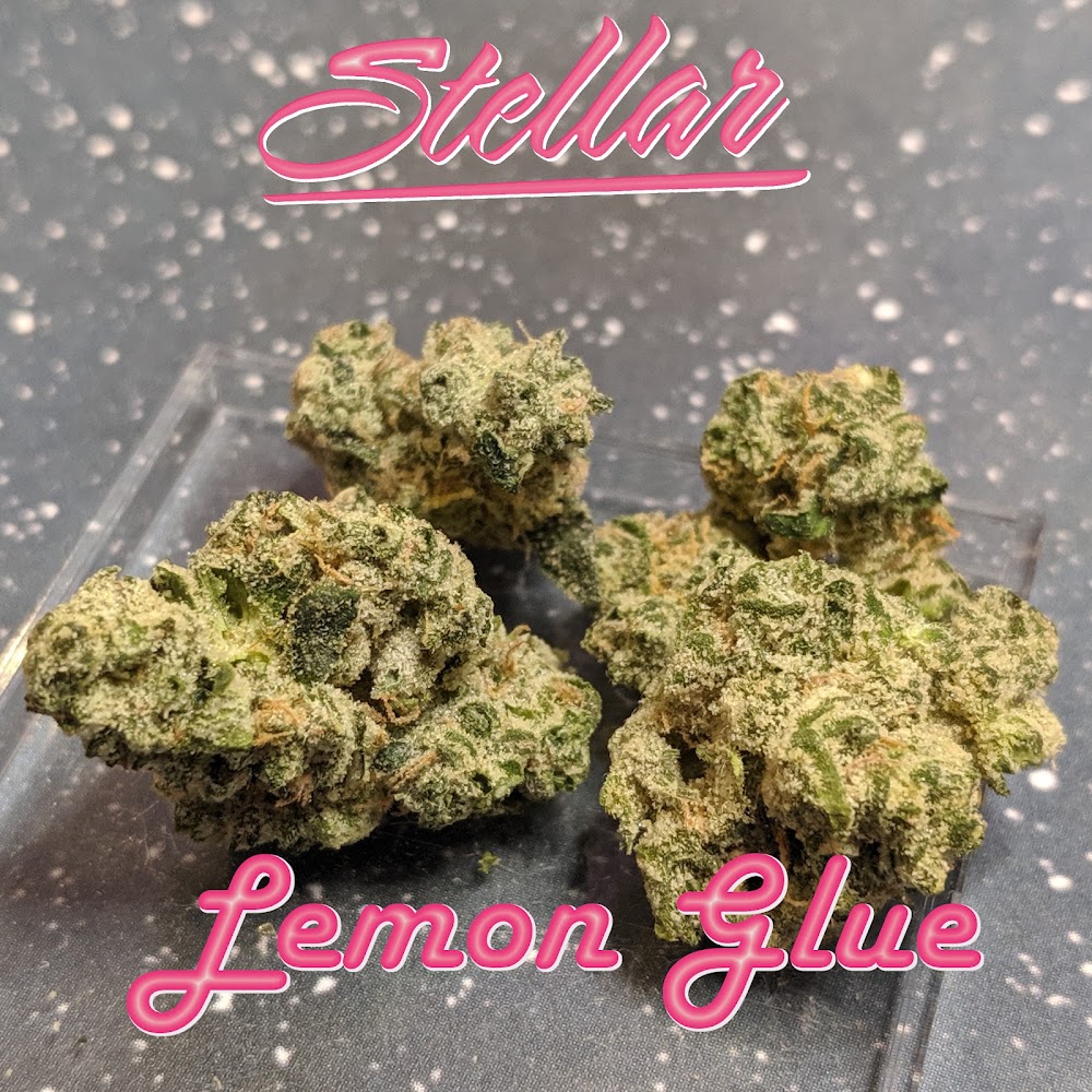 Stellar Cannabis CO. photo 5