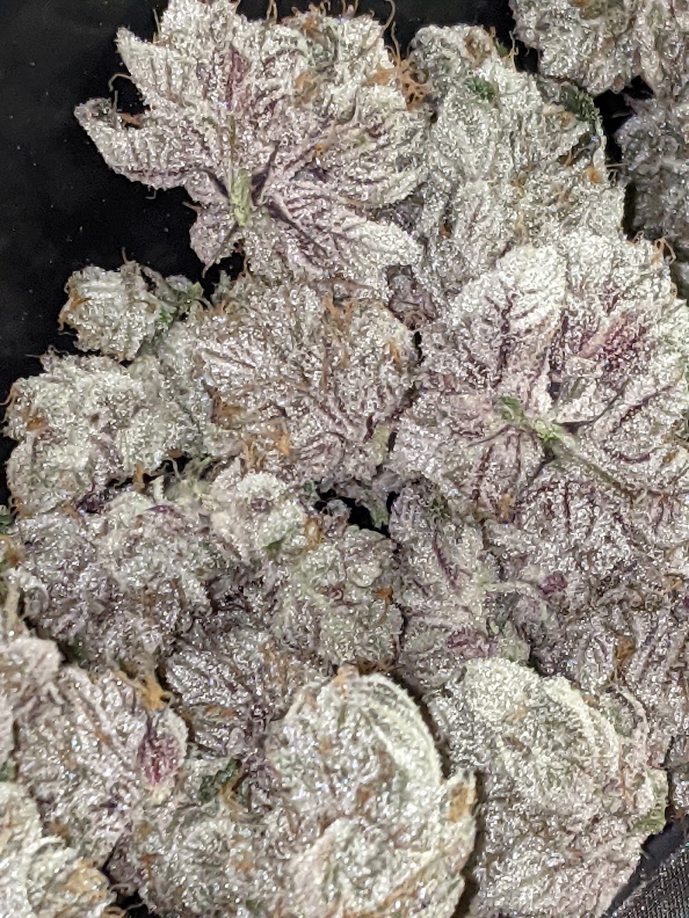 Sticky Budz photo 7