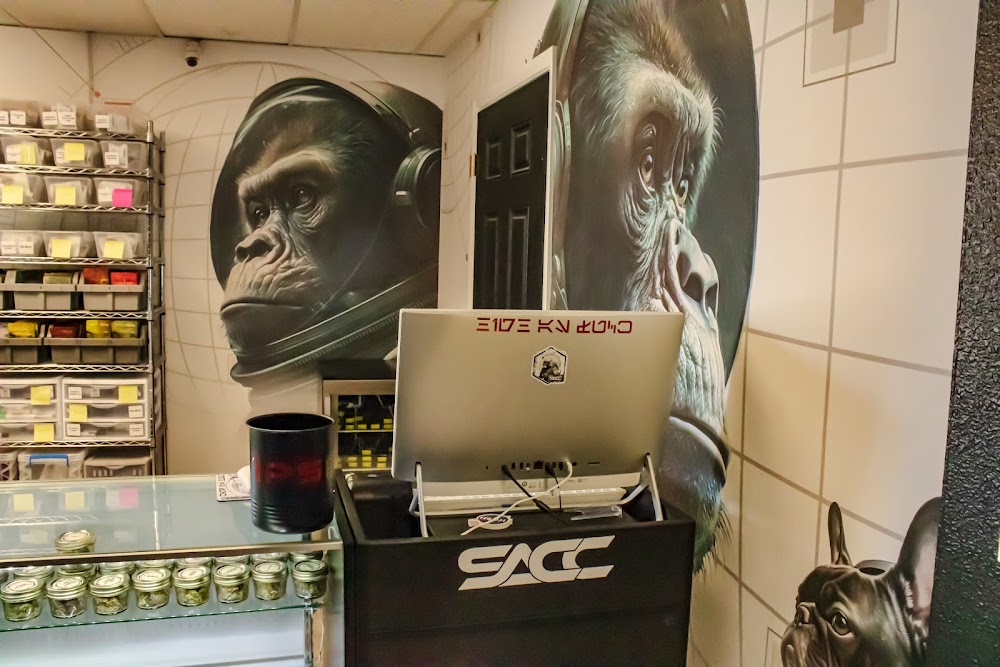Stoned Ape Canna CO photo 8