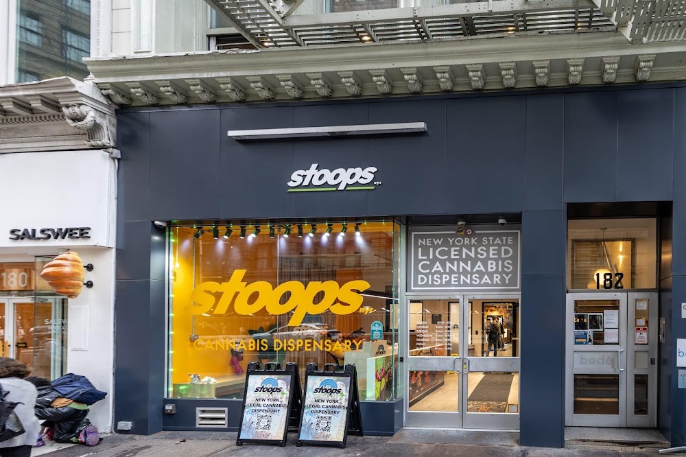 Stoops Nyc photo 1