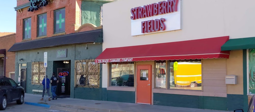 Strawberry Fields photo 1