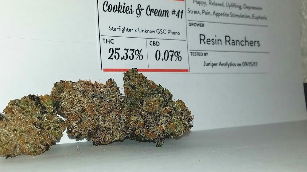 Stumptown Cannabis photo 6