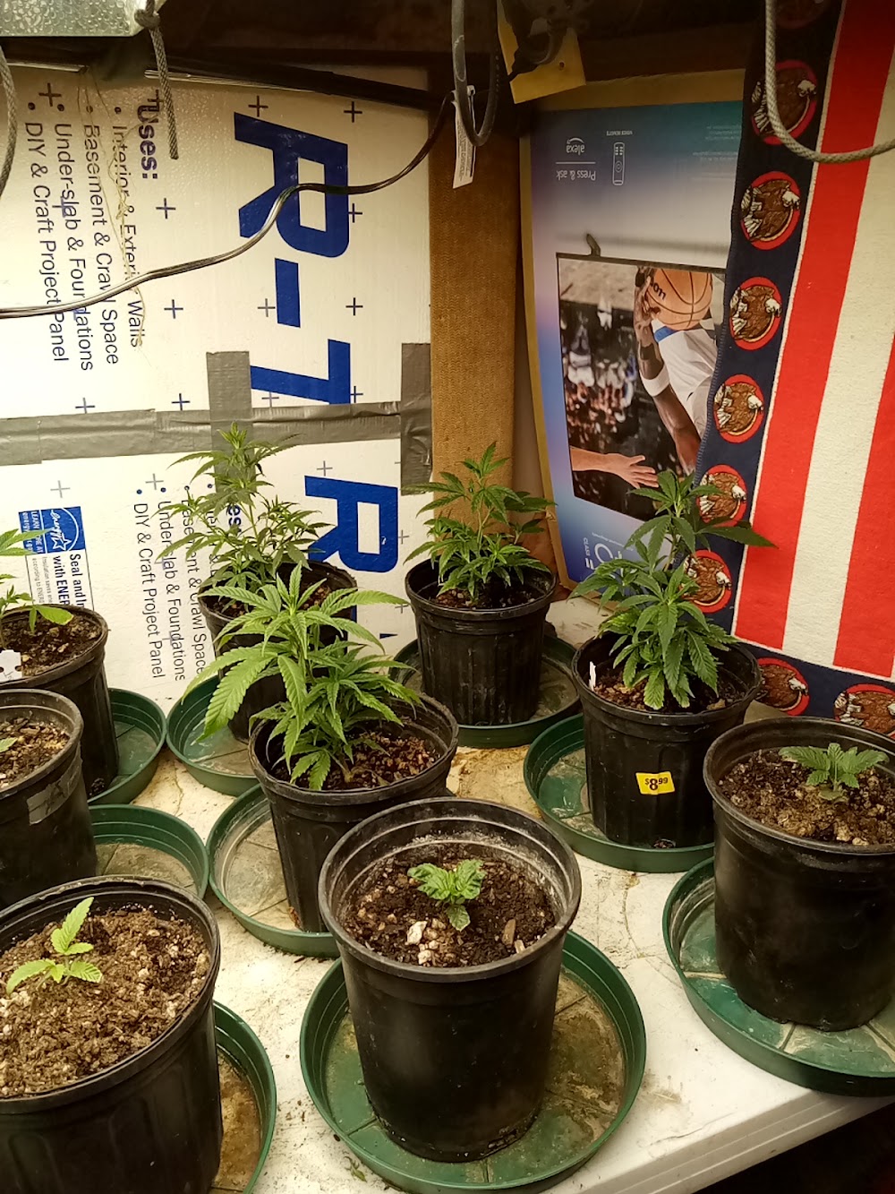 Sundays Clone Bar And Dispensary photo 3