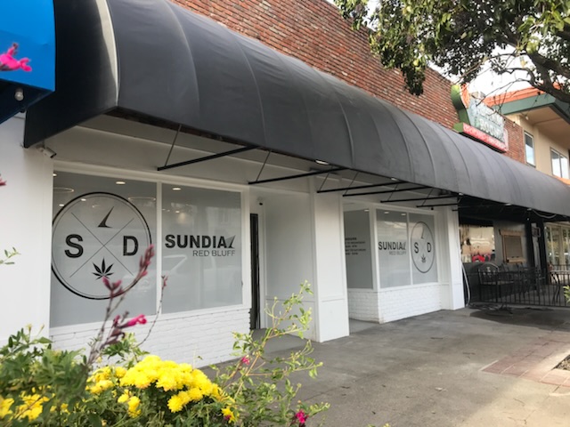 Sundial Collective photo 1