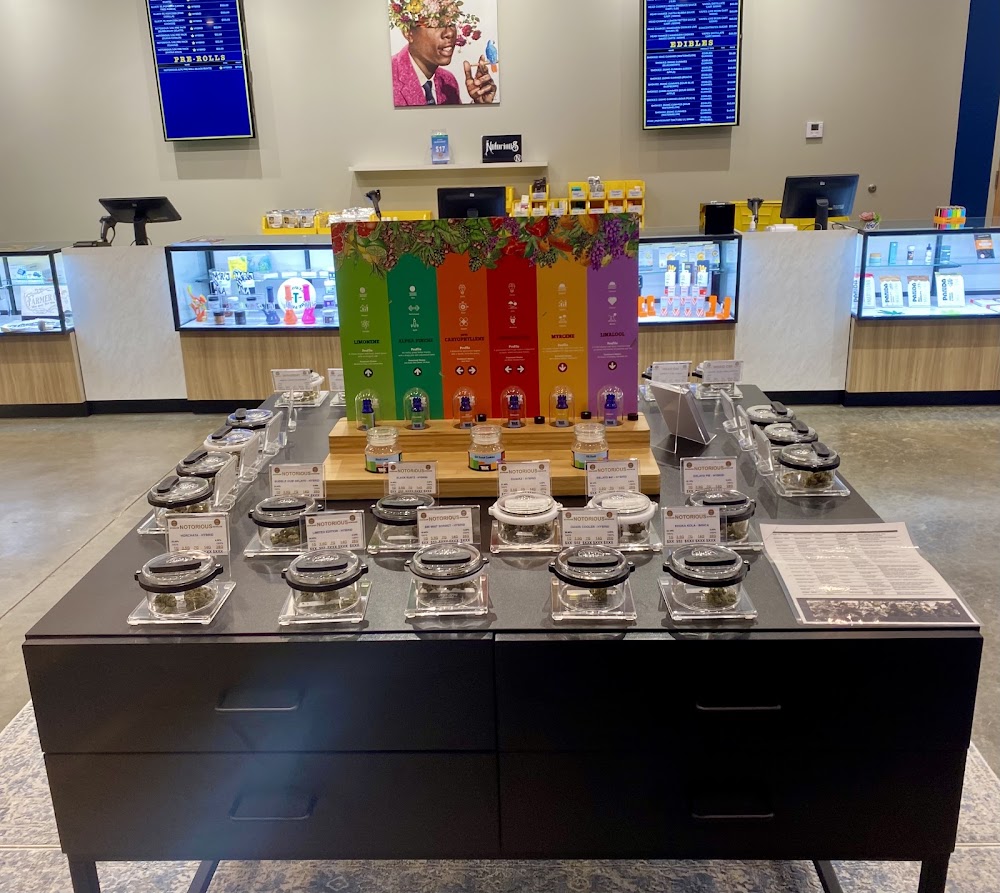 Sunrise, Dispensary, Sunrise Dispensary, Sunrise Marijuana Dispensary photo 2