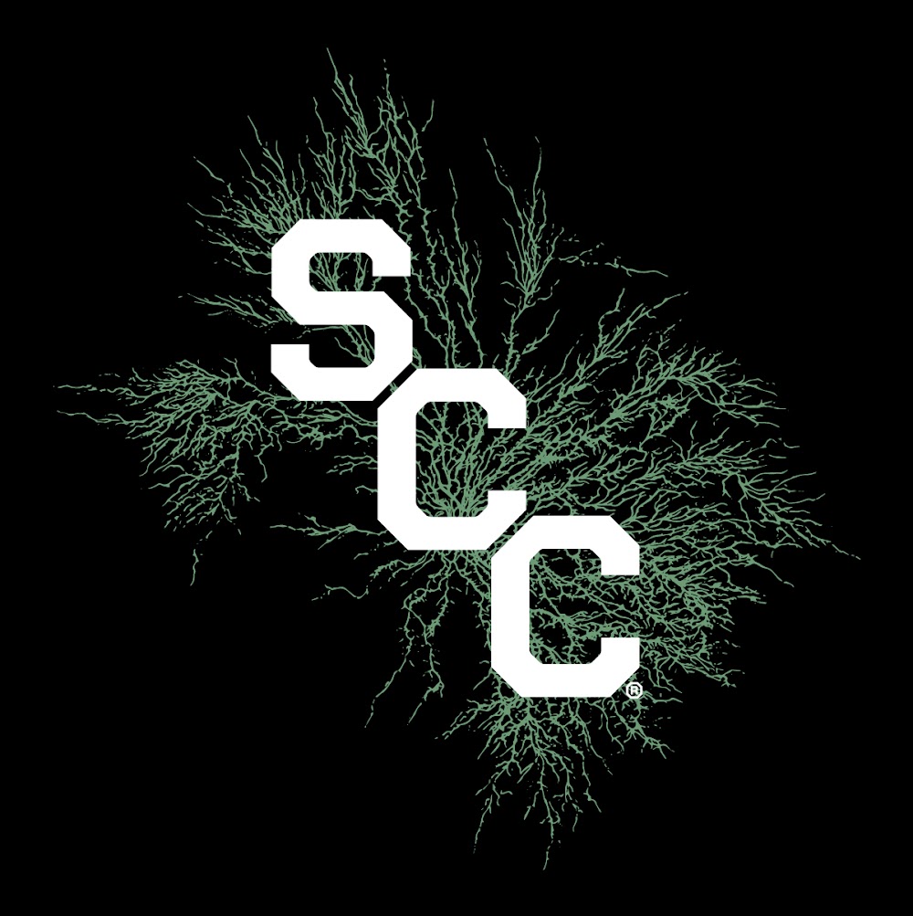 Sunset Cannabis Club photo 5