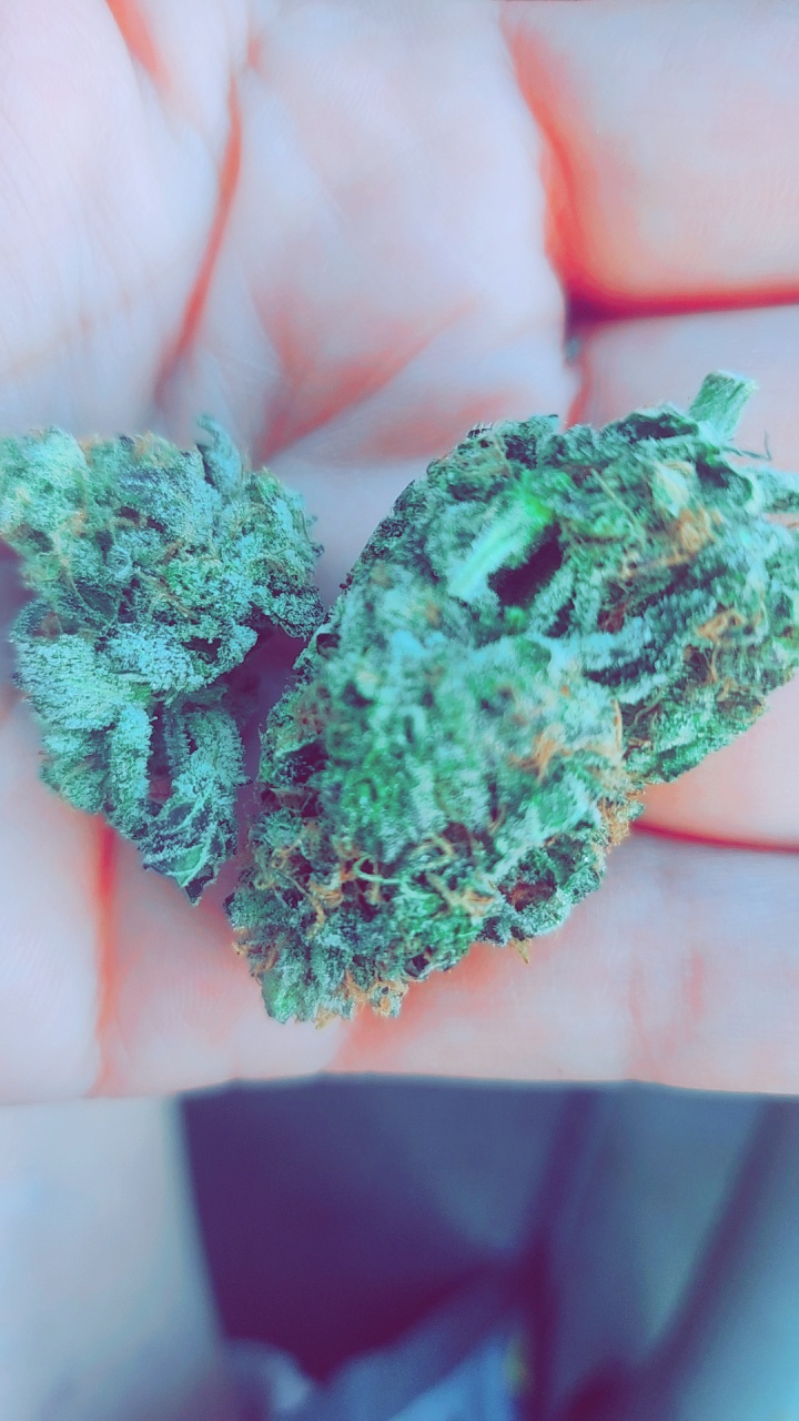 Superior Buds photo 5