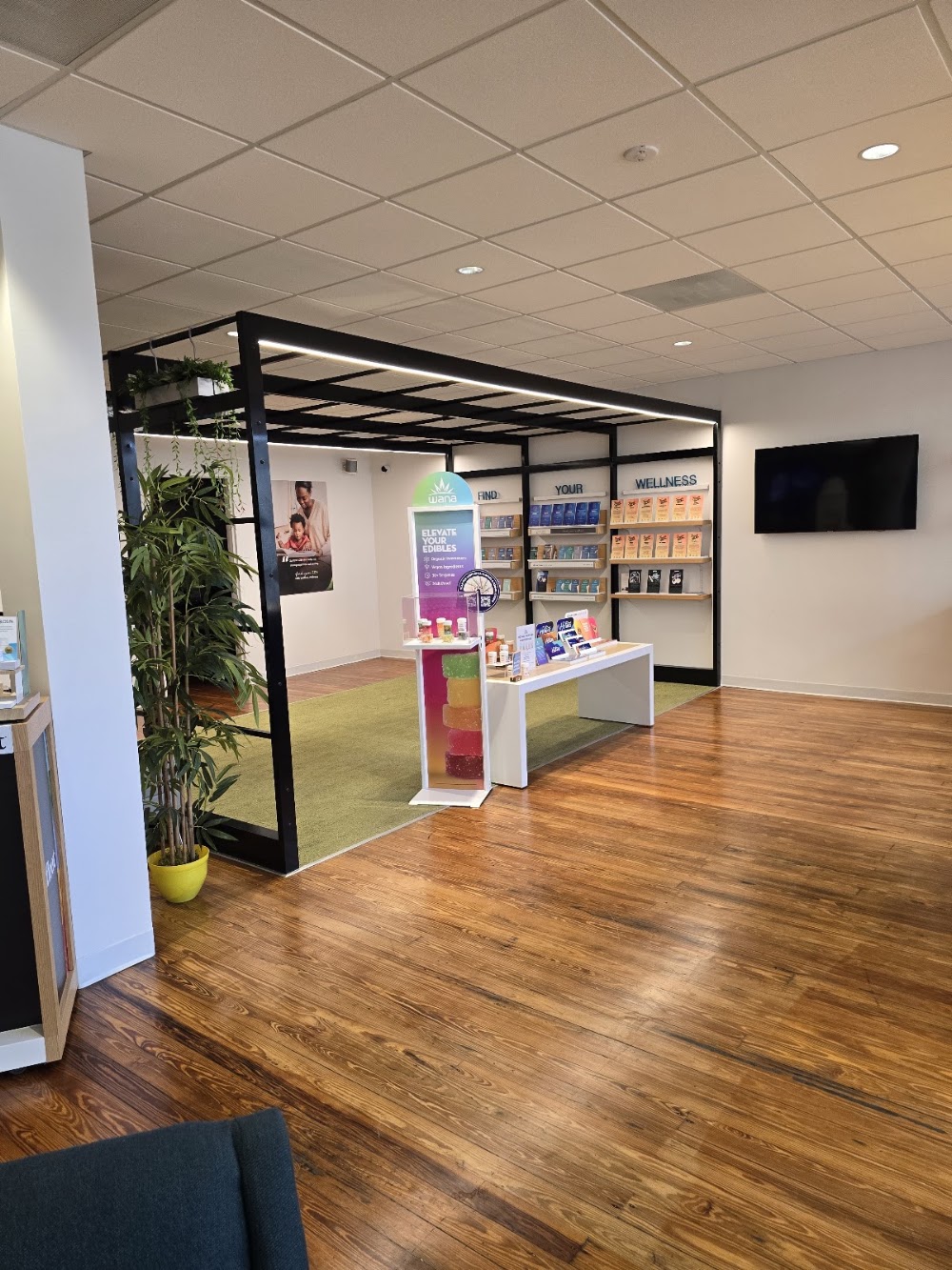 Surterra Wellness photo 2