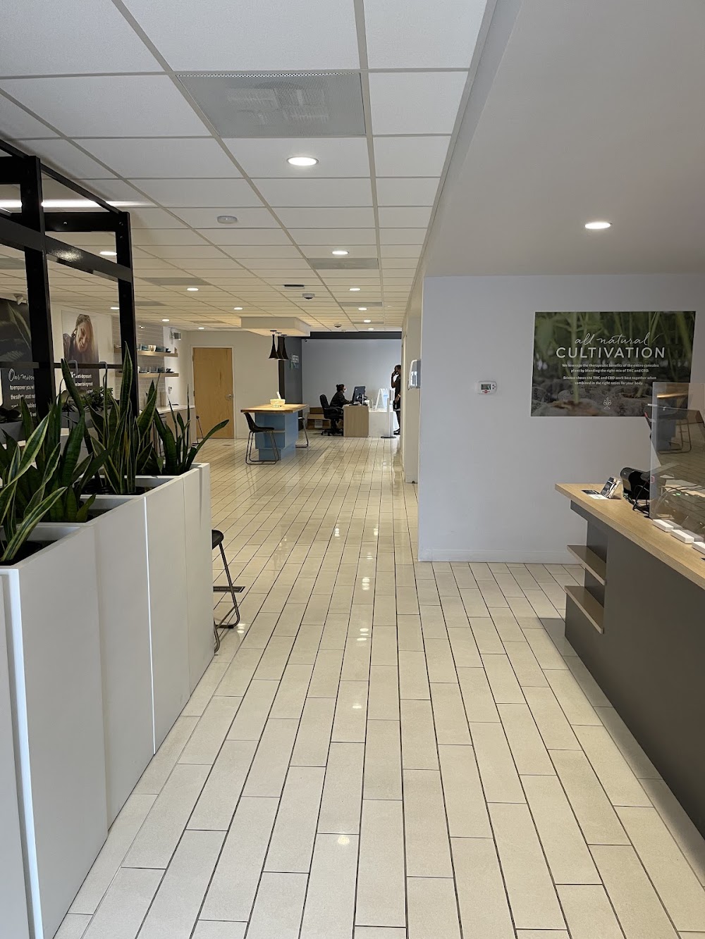 Surterra Wellness photo 1
