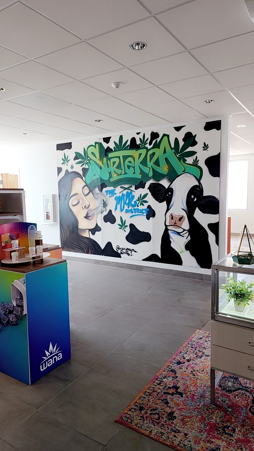 Surterra Wellness photo 4