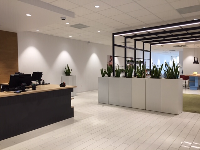 Surterra Wellness photo 3