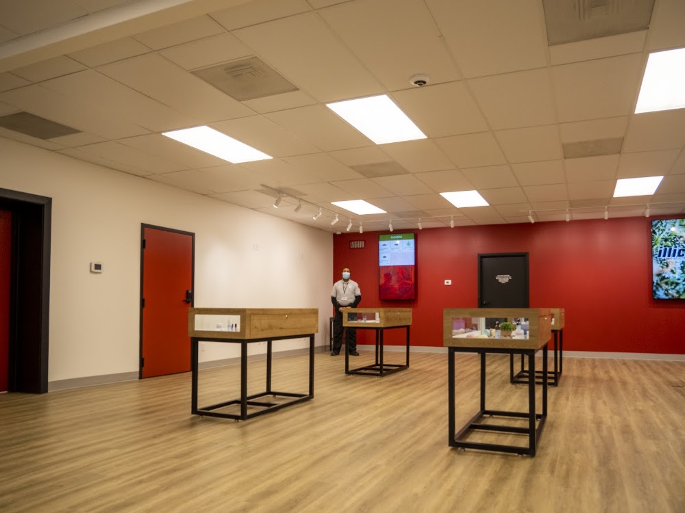 Swade Cannabis Dispensary, Swade Cannabis photo 5