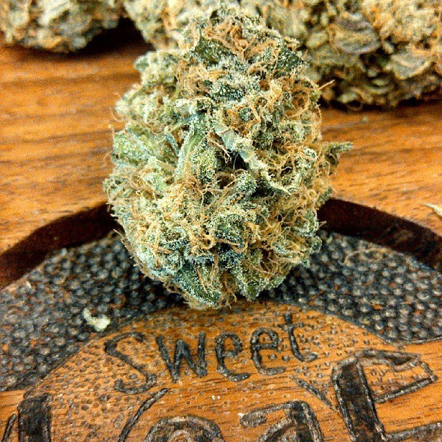 Sweet Leaf Pioneer photo 6