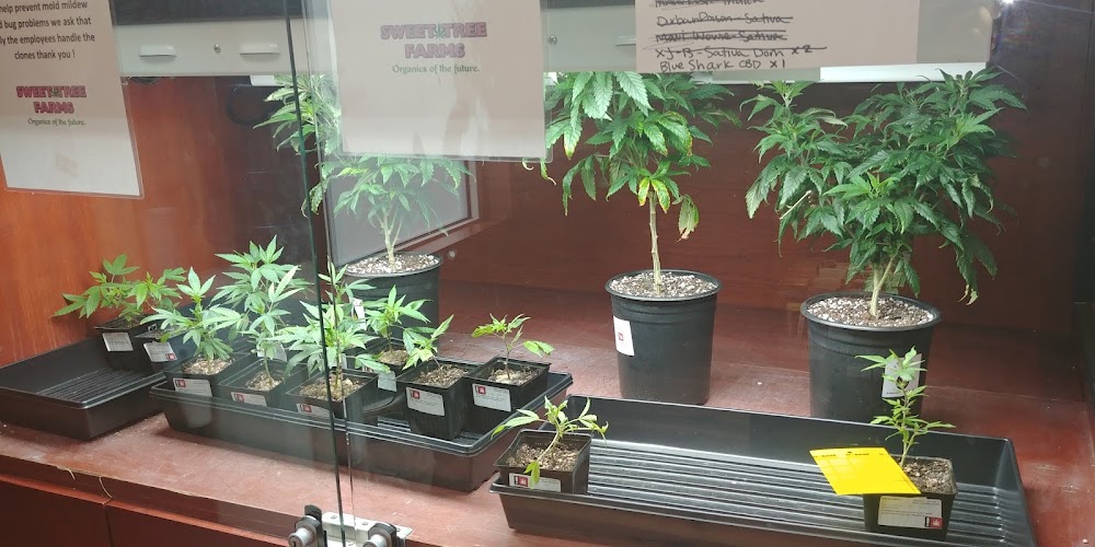 Sweet Tree Farms photo 8