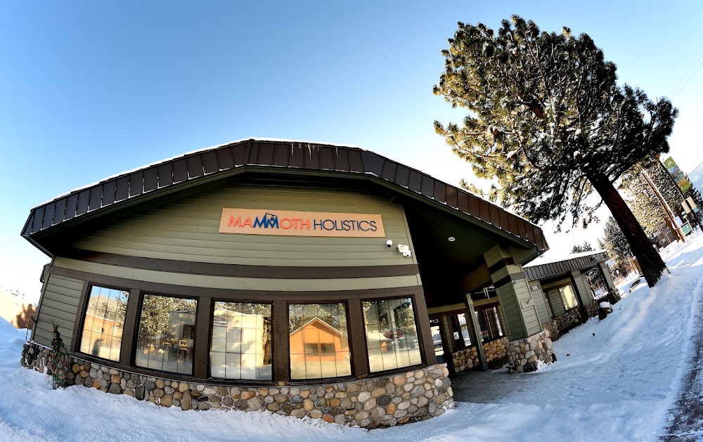 Td Mammoth photo 1
